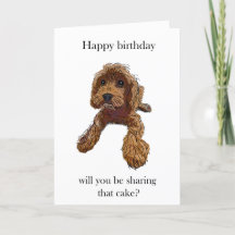 Fågeldagskaka med Rebel Rupert