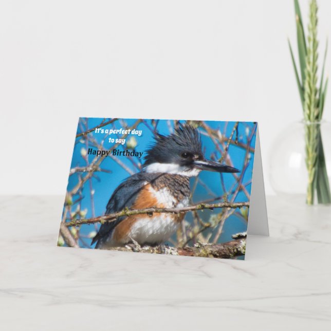 Fågeldagskort Kort (Framsida)