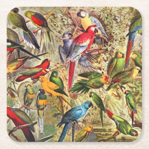 Fågeldelar med färgstark Vintage Underlägg Papper Kvadrat