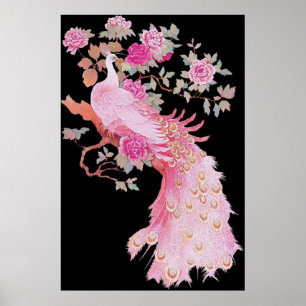 Fågelfågel vid Rosa Färg Feather Peacock Blommigt Poster