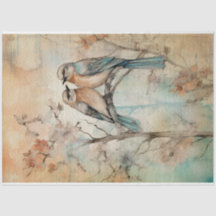 Fågelfåglar i Vår,