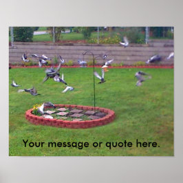 Fågelfåglar som flyger Yard Din text Poster