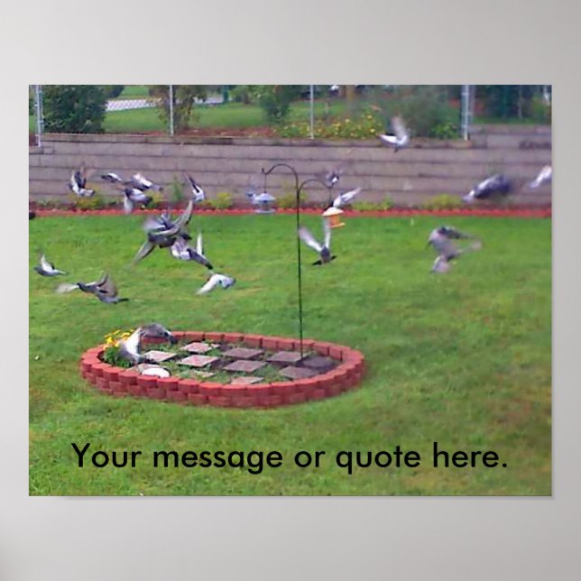 Fågelfåglar som flyger Yard Din text Poster (Framsidan)