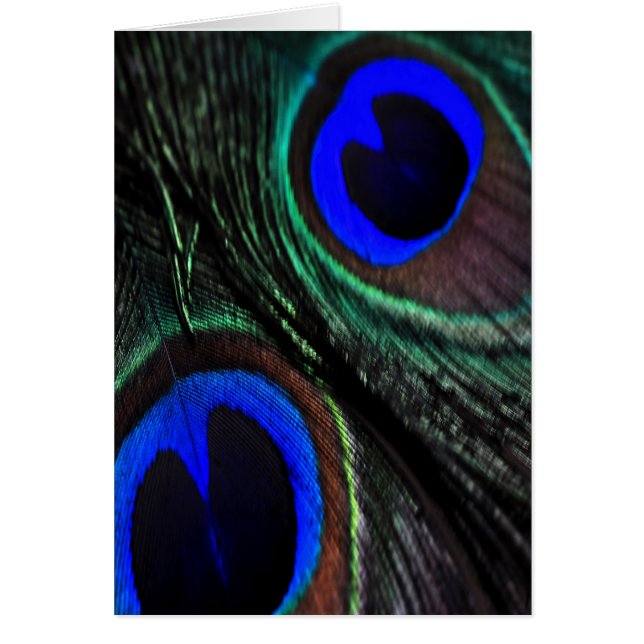 Fågelfjäder Hälsningskort (Framsidan)