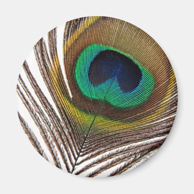Fågelfjäder Magnet (Framsidan)