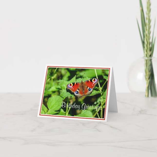 Fågelfjäril, födelsedagskort kort (Framsida)
