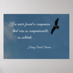Fågelflyget med citat om ensamhet. poster