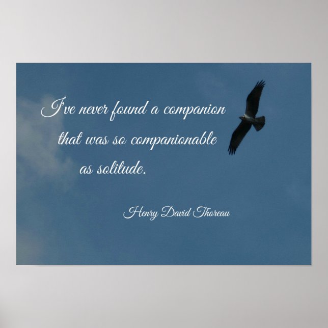 Fågelflyget med citat om ensamhet. poster (Framsidan)