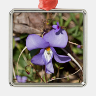 Fågelfot Violet w/ Bluets Julgransprydnad Metall