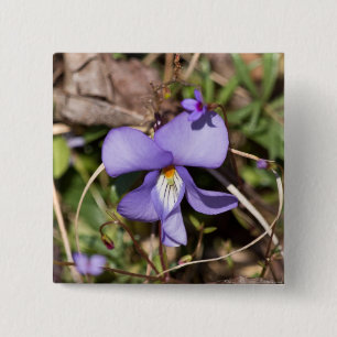 Fågelfot Violet w/ Bluets Knapp