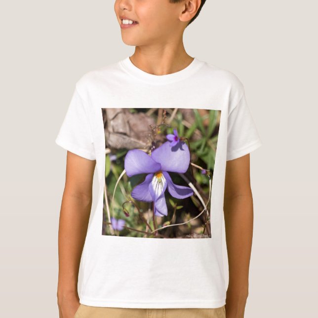 Fågelfot Violet w/ Bluets Tee (Framsida)
