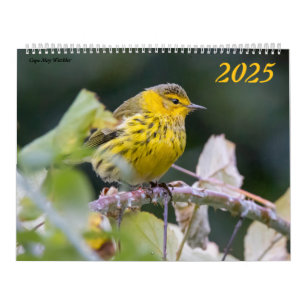 Fågelfotografi 2025 Kalender Bluebird