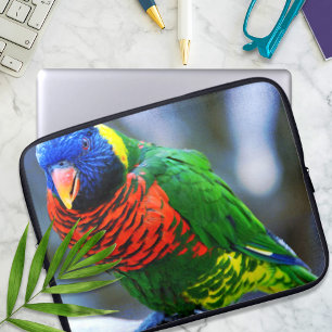 Fågelfotografi av rödblå grönt laptop fodral