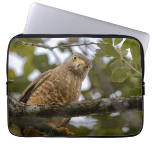 Fågelfotografi, Roadside Hawk Laptop Fodral