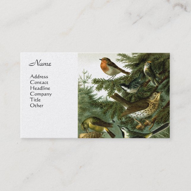 Fågelgrupp 3 visitkort (Framsida)