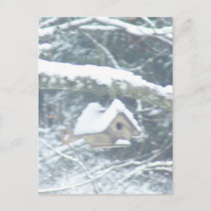 Fågelhus i snö vykort