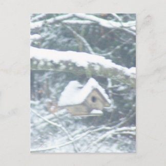 Fågelhus i snö vykort