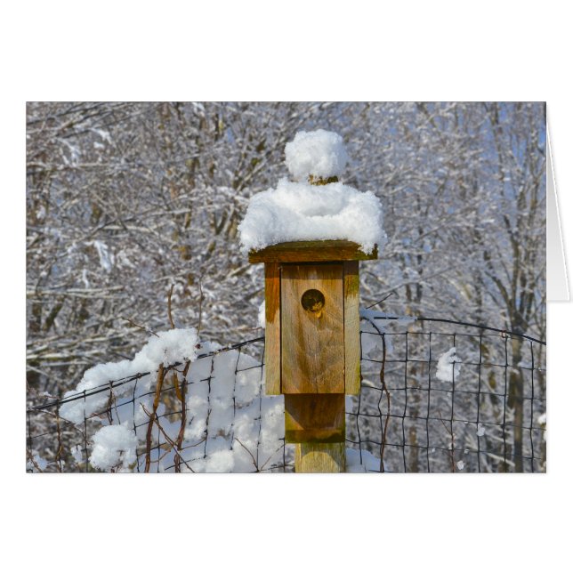 Fågelhus i Winter Hälsningskort (Framsidan Horizontal)