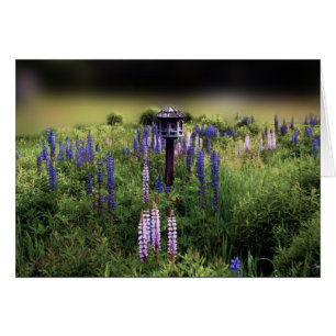 Fågelhus och Lupines Hälsningskort