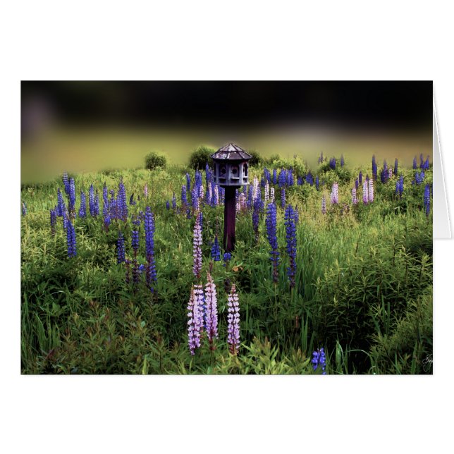 Fågelhus och Lupines Hälsningskort (Framsidan Horizontal)