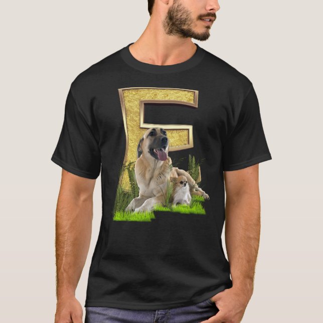 Fågelhuvudstad - brev-E Art T Shirt (Framsida)