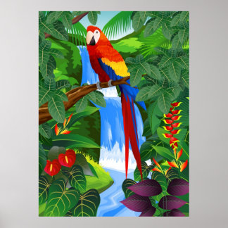 Fågelillustration av Macaw Poster