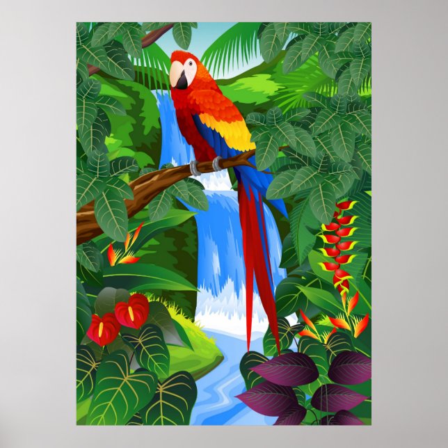 Fågelillustration av Macaw Poster (Framsidan)