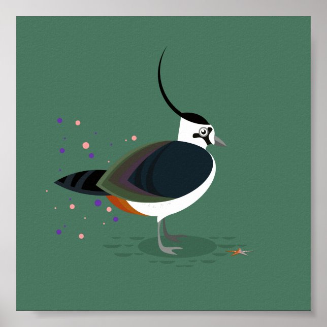 Fågelillustration - Lappning Poster (Framsidan)