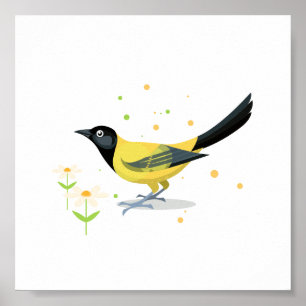 Fågelillustration Poster