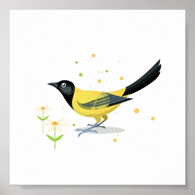 Fågelillustration Poster (Framsidan)