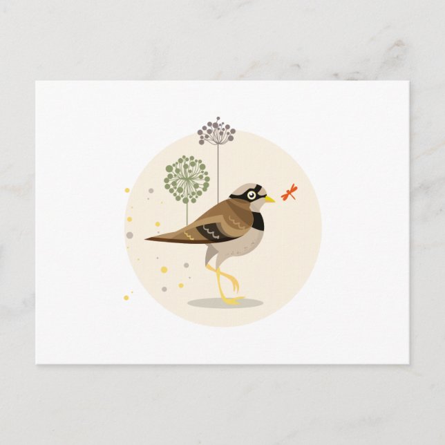 Fågelillustration - Sommar färg Vykort (Framsida)