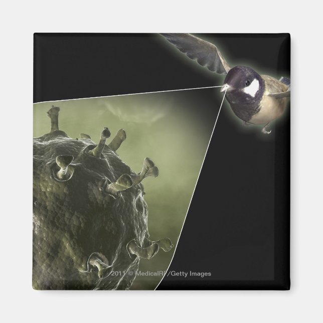 Fågelinfluensa från fågel magnet (Framsidan)