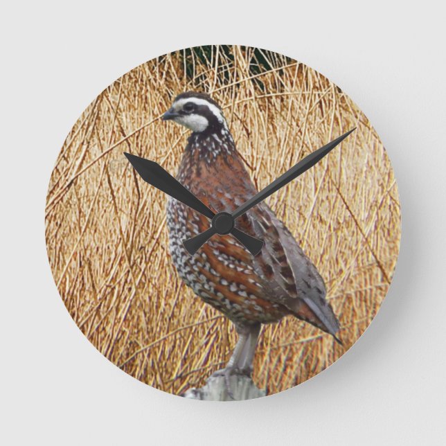 Fågeljägare, Bobwhite Quail Hunting Rund Klocka (Framsida)