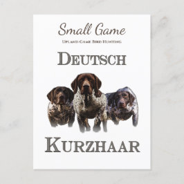 Fågeljakt, fågeljakt i Upland Game Bird Hunting Vykort