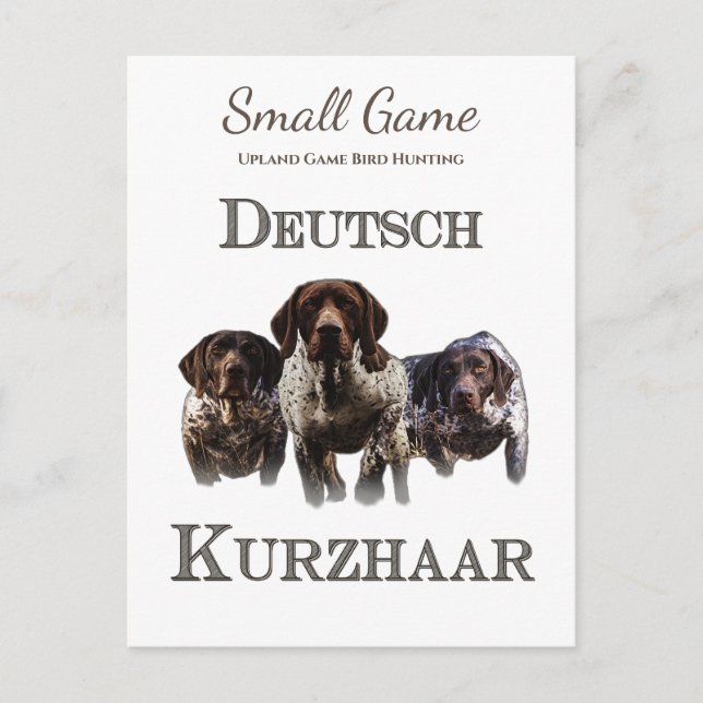 Fågeljakt, fågeljakt i Upland Game Bird Hunting Vykort (Framsida)