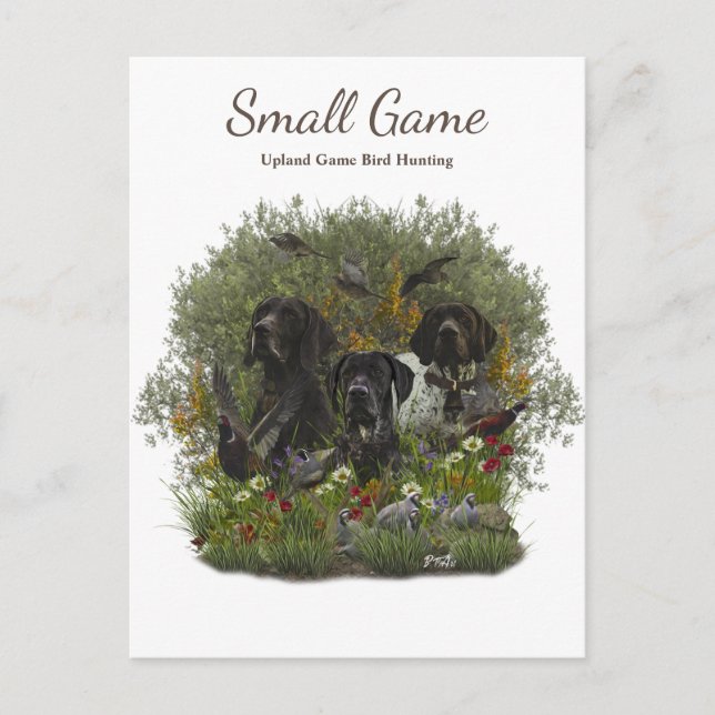 Fågeljakt, fågeljakt i Upland Game Bird Hunting Vykort (Framsida)