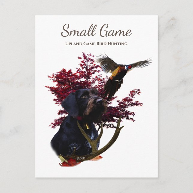 Fågeljakt, fågeljakt i Upland Game Bird Hunting Vykort (Framsida)
