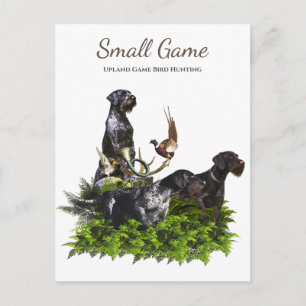 Fågeljakt, fågeljakt i Upland Game Bird Hunting Vykort