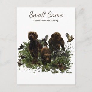 Fågeljakt, fågeljakt i Upland Game Bird Hunting Vykort