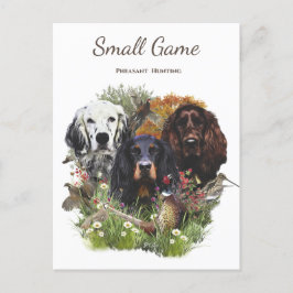 Fågeljakt, hund av fasaner vykort