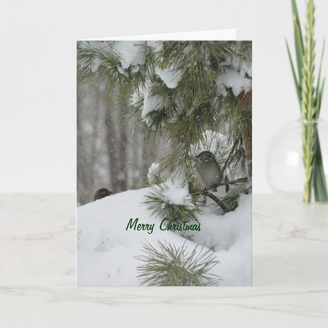 Fågeljulskydd Helgkort (Framsida)