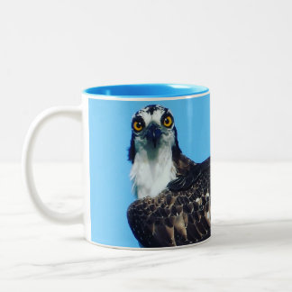 Fågelkaffe Mugg / Kopp - Osprey - Fågel av Ber