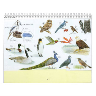 Fågelkalender 1 kalender