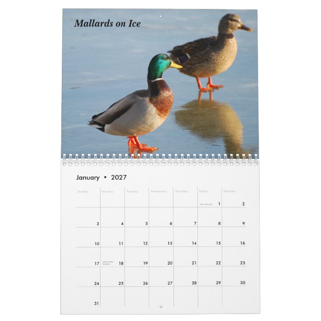 Fågelkalender 2010 kalender (Jan 2027)
