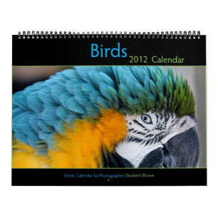 Fågelkalender 2012 kalender