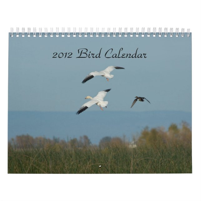 FÅGELKALENDER 2012 KALENDER (Omslag)
