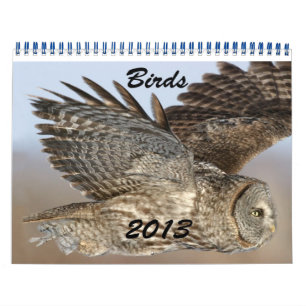 Fågelkalender 2013 kalender