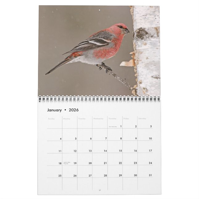 Fågelkalender 2013 kalender (Jan 2026)