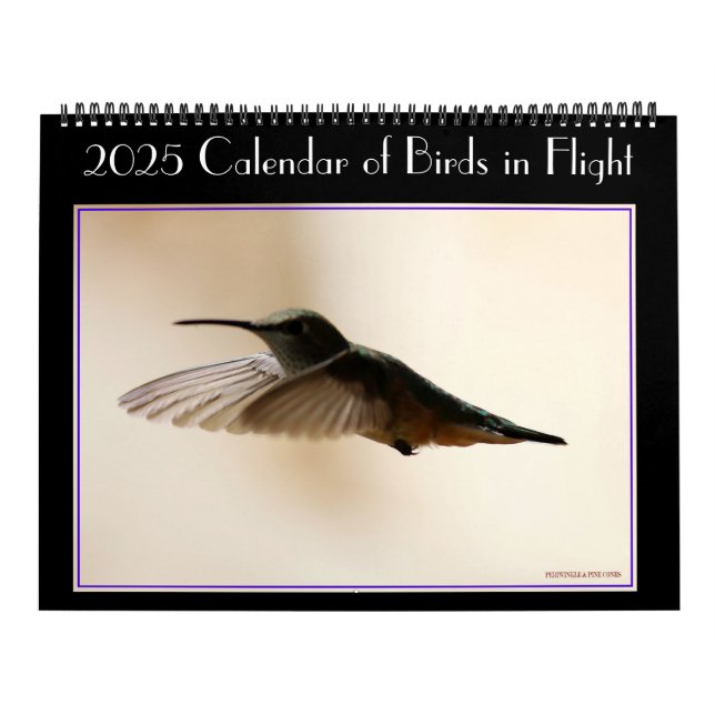 Fågelkalender 2020 kalender (Omslag)