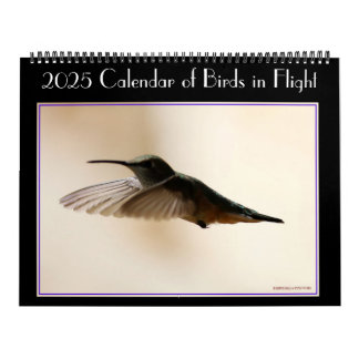 Fågelkalender 2020 kalender